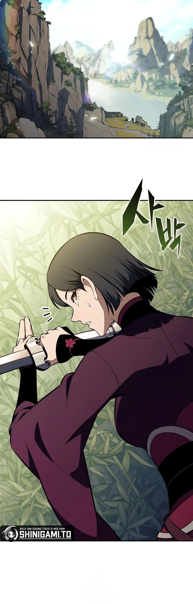 Solo Max-Level Newbie Chapter 243 Fix Gambar 45